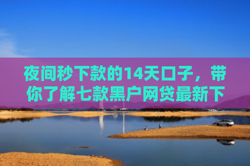 夜间秒下款的14天口子，带你了解七款黑户网贷最新下款口子