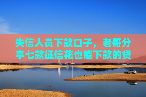 失信人员下款口子，老哥分享七款征信花也能下款的贷款