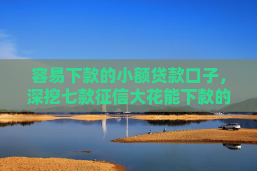 容易下款的小额贷款口子，深挖七款征信大花能下款的平台