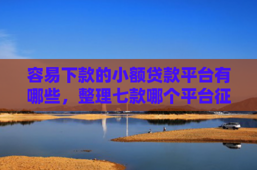 容易下款的小额贷款平台有哪些，整理七款哪个平台征信花能下款的