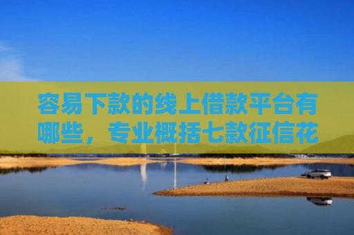 容易下款的线上借款平台有哪些，专业概括七款征信花哪个平台好下款快