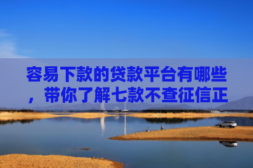 容易下款的贷款平台有哪些，带你了解七款不查征信正规下款的平台