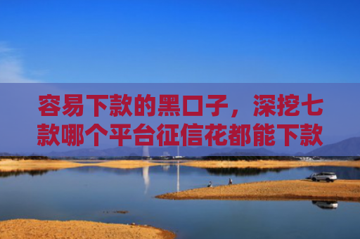容易下款的黑口子，深挖七款哪个平台征信花都能下款