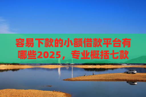 容易下款的小额借款平台有哪些2025，专业概括七款下款不看征信的网贷平台