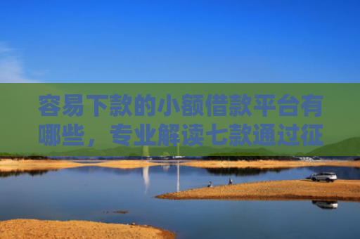 容易下款的小额借款平台有哪些，专业解读七款通过征信可以下款的平台