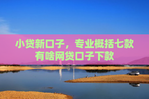 小贷新口子，专业概括七款有啥网贷口子下款