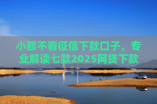 小额不看征信下款口子，专业解读七款2025网贷下款的口子