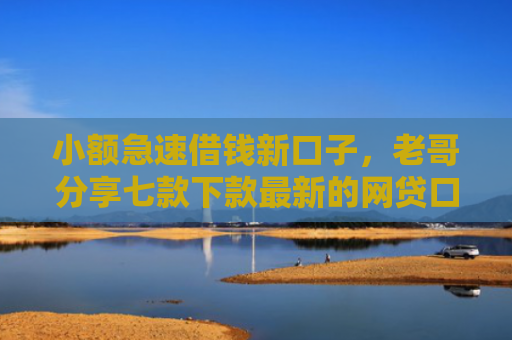 小额急速借钱新口子，老哥分享七款下款最新的网贷口子