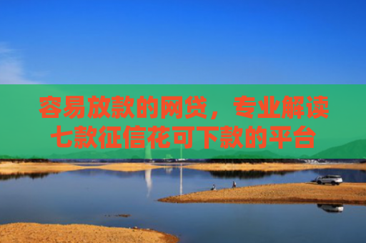 容易放款的网贷，专业解读七款征信花可下款的平台