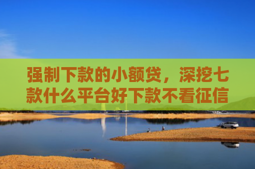 强制下款的小额贷，深挖七款什么平台好下款不看征信