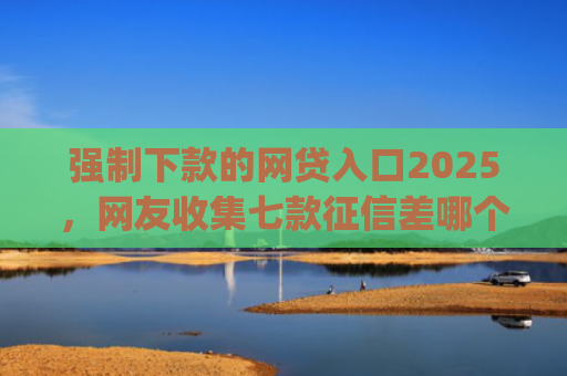 强制下款的网贷入口2025，网友收集七款征信差哪个平台好下款app