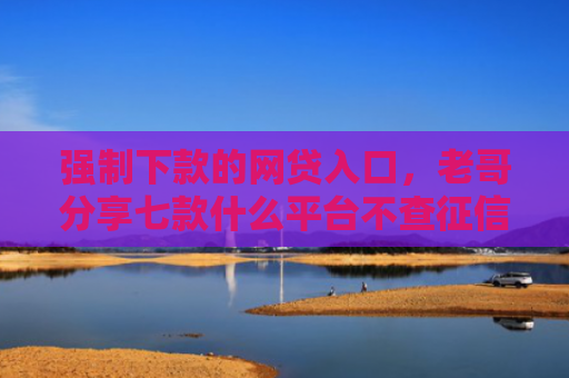 强制下款的网贷入口，老哥分享七款什么平台不查征信下款快