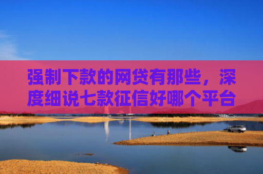 强制下款的网贷有那些，深度细说七款征信好哪个平台好下款
