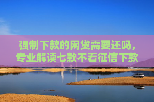 强制下款的网贷需要还吗，专业解读七款不看征信下款的贷款平台