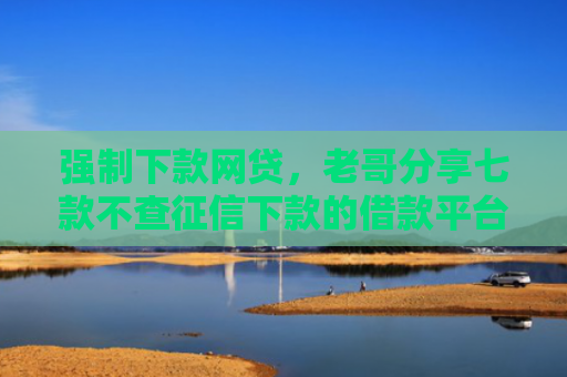 强制下款网贷，老哥分享七款不查征信下款的借款平台