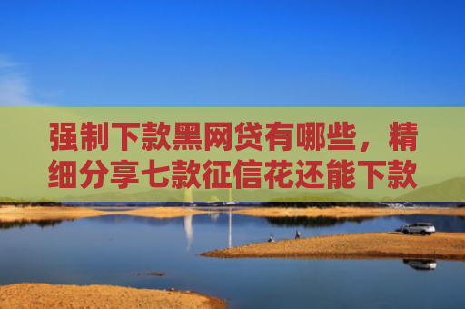 强制下款黑网贷有哪些，精细分享七款征信花还能下款的平台