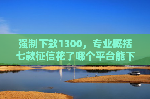 强制下款1300，专业概括七款征信花了哪个平台能下款