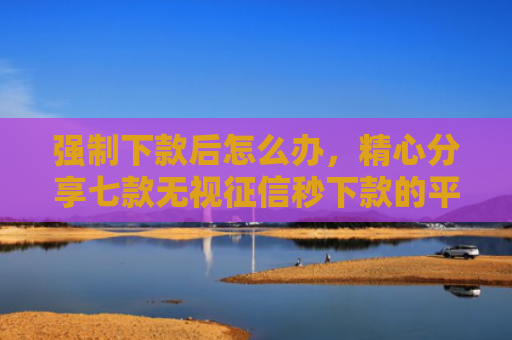 强制下款后怎么办，精心分享七款无视征信秒下款的平台