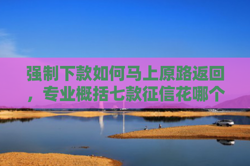 强制下款如何马上原路返回，专业概括七款征信花哪个平台必下款