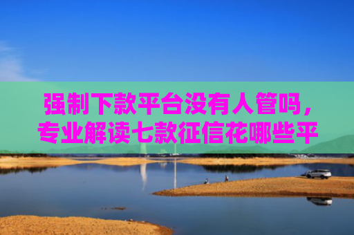 强制下款平台没有人管吗，专业解读七款征信花哪些平台能下款