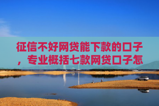 征信不好网贷能下款的口子，专业概括七款网贷口子怎么填下款高