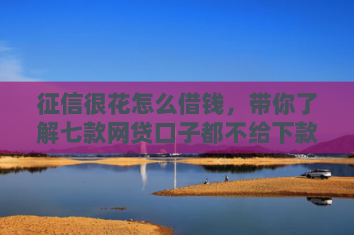 征信很花怎么借钱，带你了解七款网贷口子都不给下款了