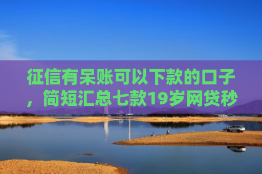 征信有呆账可以下款的口子，简短汇总七款19岁网贷秒下款口子