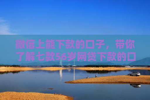 微信上能下款的口子，带你了解七款56岁网贷下款的口子