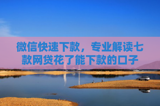 微信快速下款，专业解读七款网贷花了能下款的口子