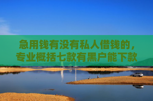 急用钱有没有私人借钱的，专业概括七款有黑户能下款的网贷吗？