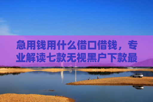 急用钱用什么借口借钱，专业解读七款无视黑户下款最快的网贷