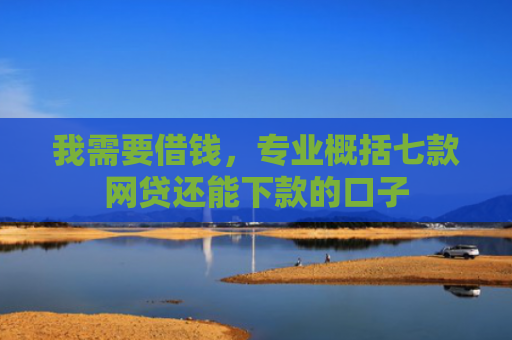我需要借钱，专业概括七款网贷还能下款的口子