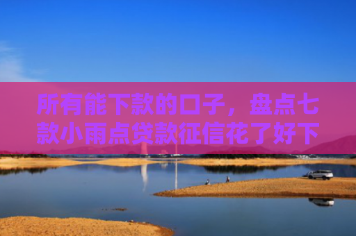 所有能下款的口子，盘点七款小雨点贷款征信花了好下款么