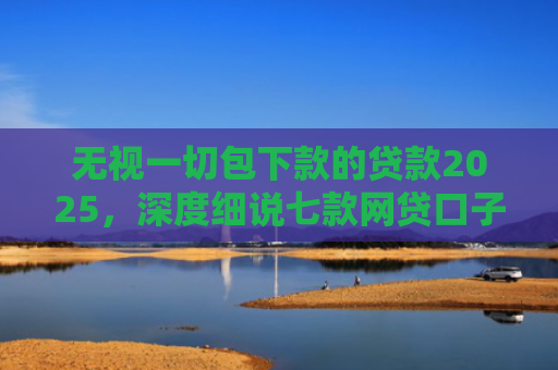 无视一切包下款的贷款2025，深度细说七款网贷口子好下款