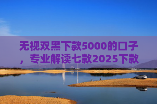 无视双黑下款5000的口子，专业解读七款2025下款率高的网贷口子