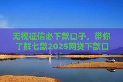 无视征信必下款口子，带你了解七款2025网贷下款口子