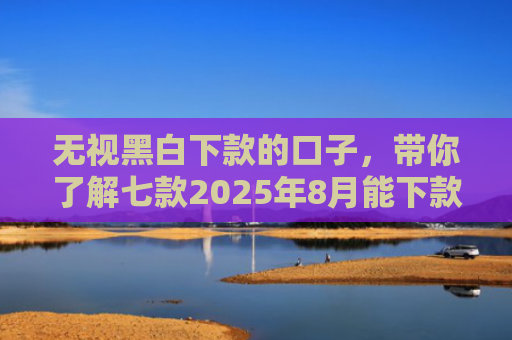 无视黑白下款的口子，带你了解七款2025年8月能下款的网贷口子