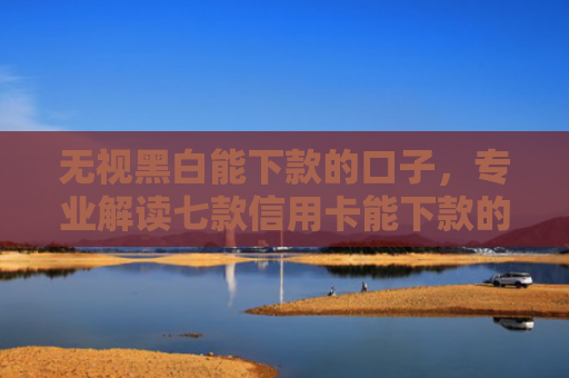 无视黑白能下款的口子，专业解读七款信用卡能下款的网贷口子