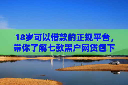 18岁可以借款的正规平台，带你了解七款黑户网贷包下款口子