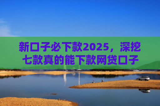 新口子必下款2025，深挖七款真的能下款网贷口子