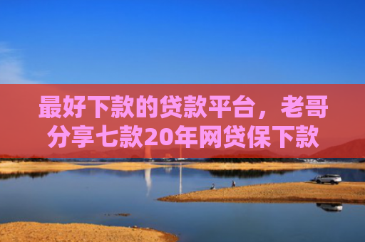 最好下款的贷款平台，老哥分享七款20年网贷保下款口子
