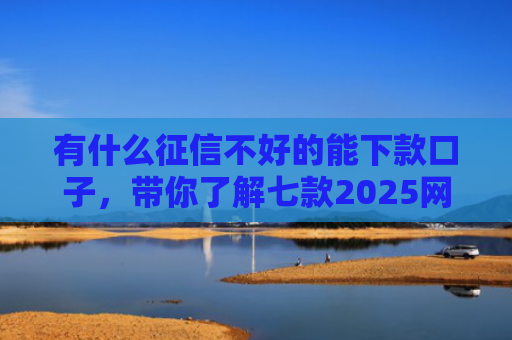 有什么征信不好的能下款口子，带你了解七款2025网贷下款的口子