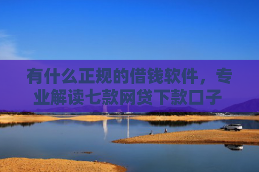 有什么正规的借钱软件，专业解读七款网贷下款口子 无视黑白