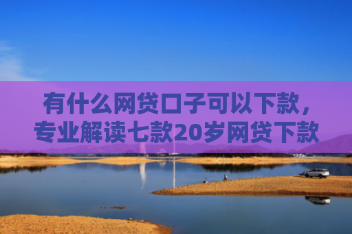 有什么网贷口子可以下款，专业解读七款20岁网贷下款口子