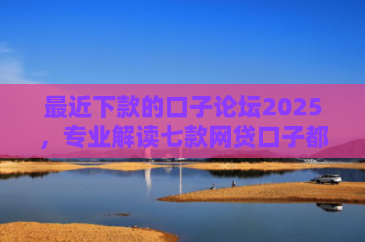 最近下款的口子论坛2025，专业解读七款网贷口子都不下款了