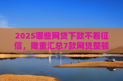 2025哪些网贷下款不看征信，隆重汇总7款网贷整顿后下款口子