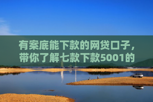 有案底能下款的网贷口子，带你了解七款下款5001的网贷口子
