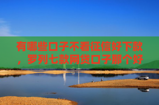 有哪些口子不看征信好下款，罗列七款网贷口子那个好下款