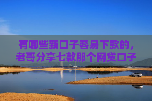 有哪些新口子容易下款的，老哥分享七款那个网贷口子必下款