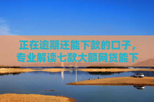 正在逾期还能下款的口子，专业解读七款大额网贷能下款的口子